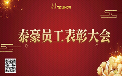 泰豪表彰 | 一路同行，“云”享慶典~